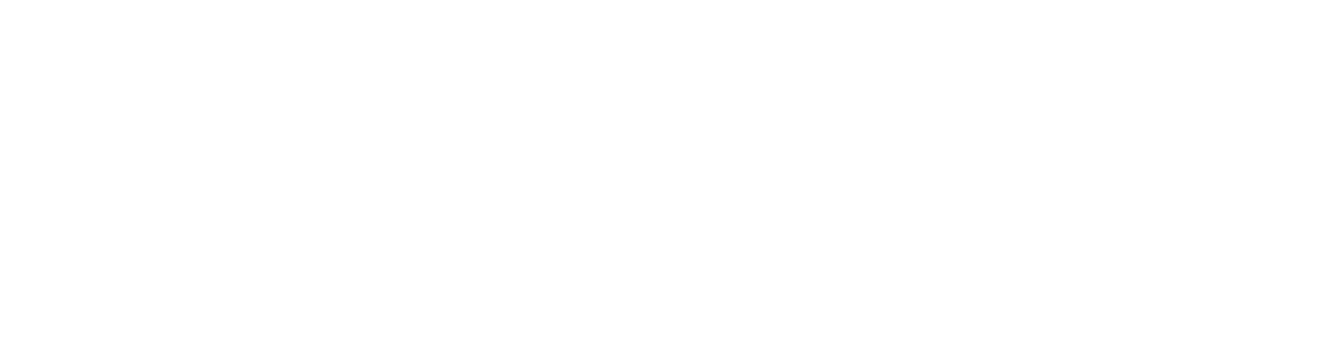 RM Fintech A/S